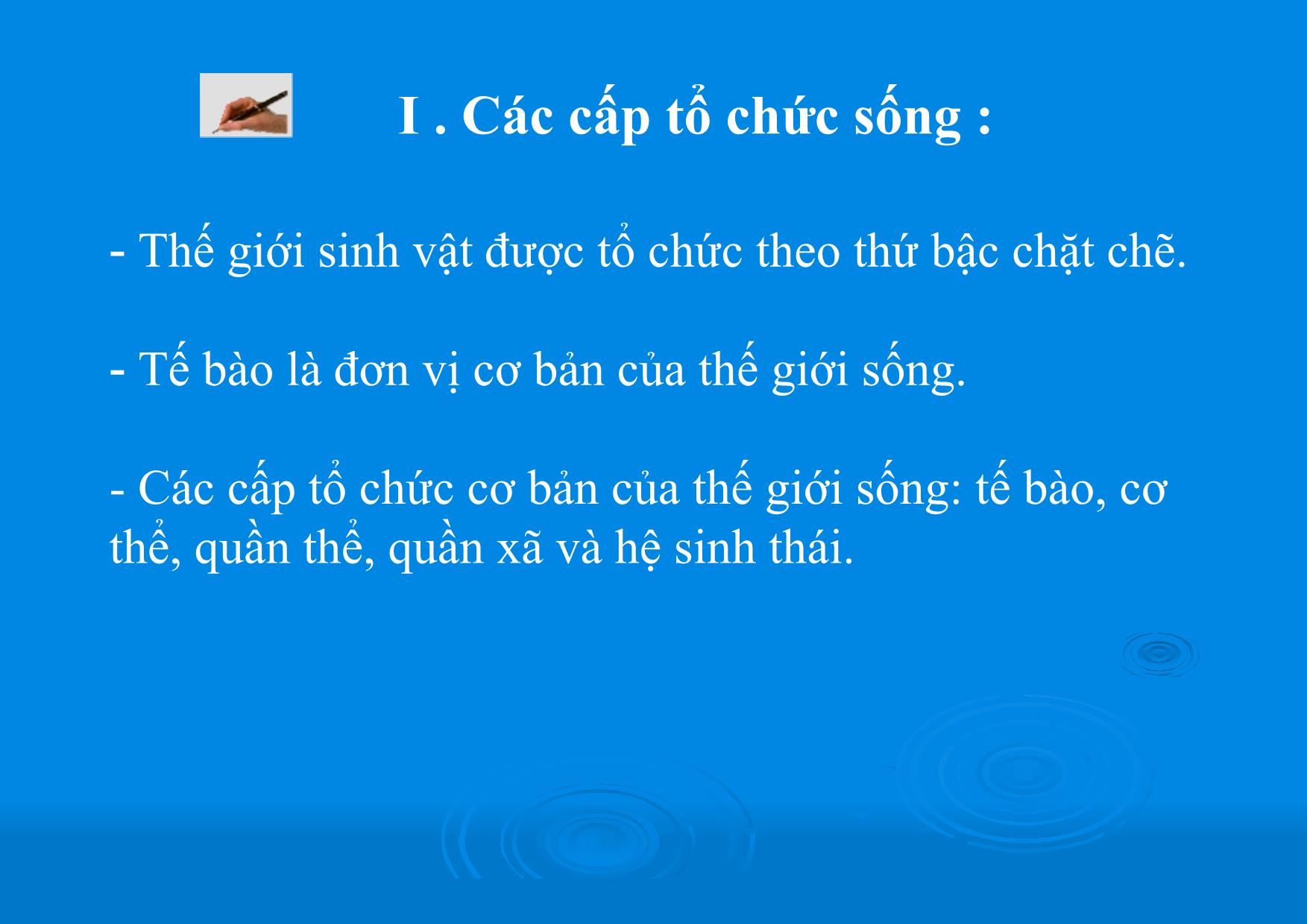 Bài giảng Sinh học Lớp 10 - Bài 1: Các cấp tổ chức của thế giới sống trang 8