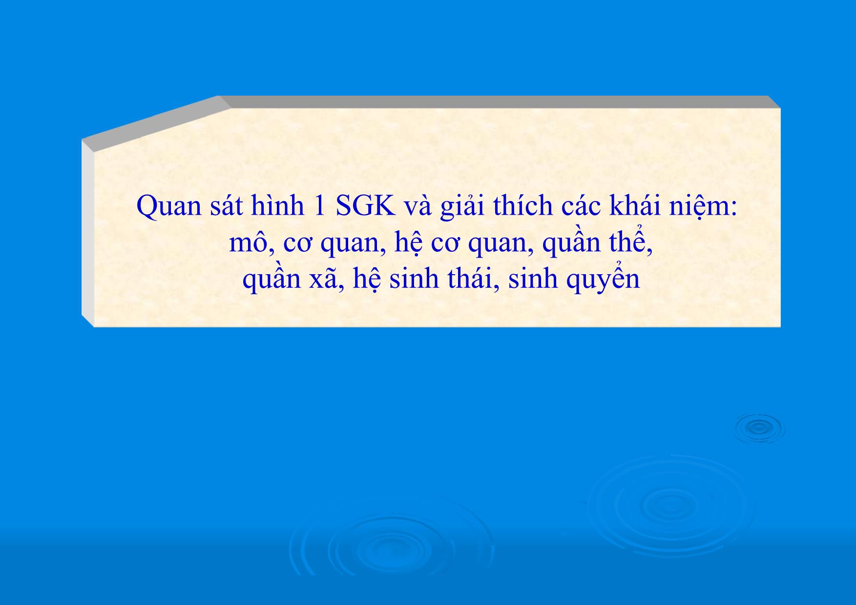 Bài giảng Sinh học Lớp 10 - Bài 1: Các cấp tổ chức của thế giới sống trang 9