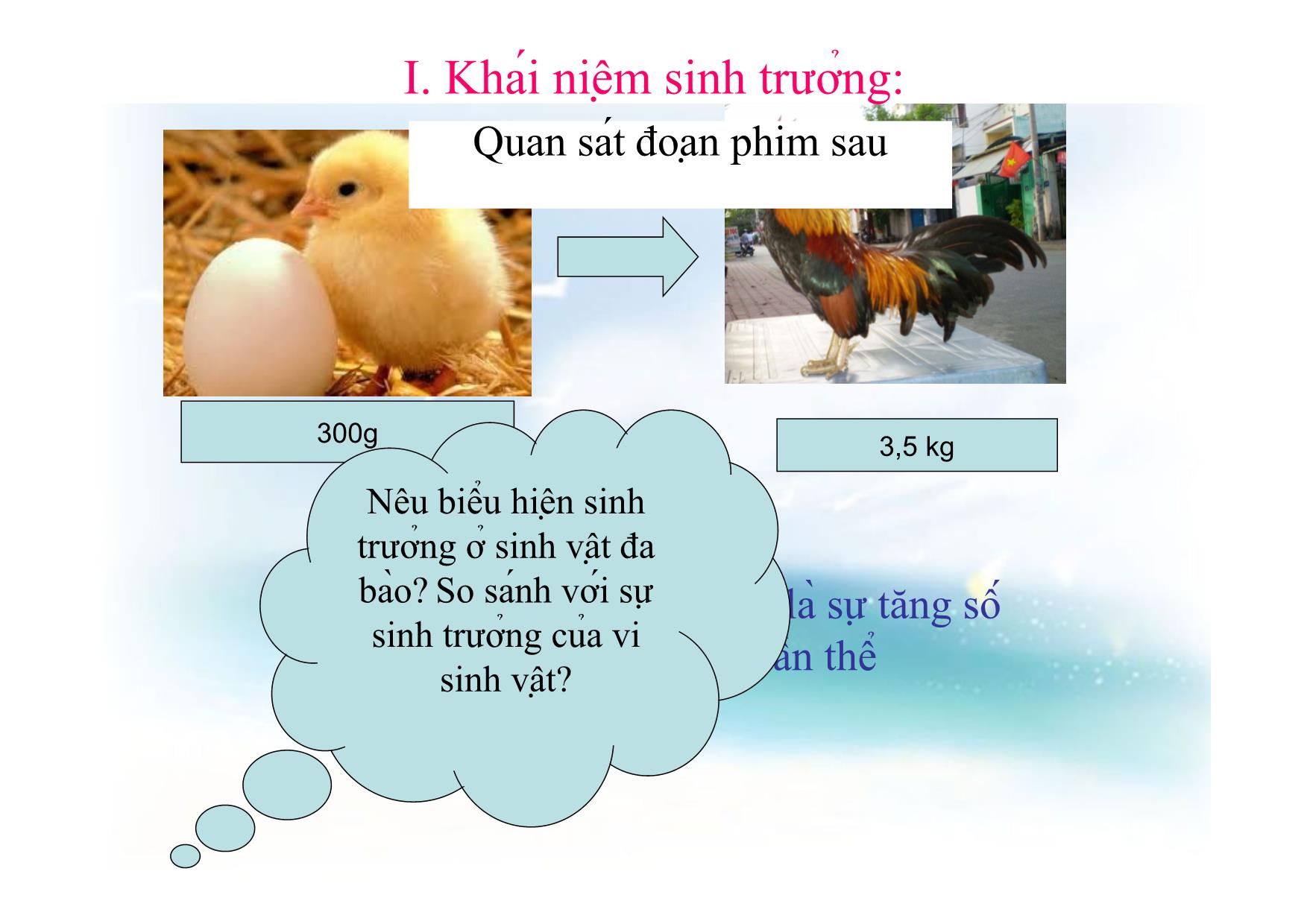 Bài giảng Sinh học Lớp 10 - Tiết 25, Bài 25: Sinh trưởng và sinh sản của vi sinh vật trang 3