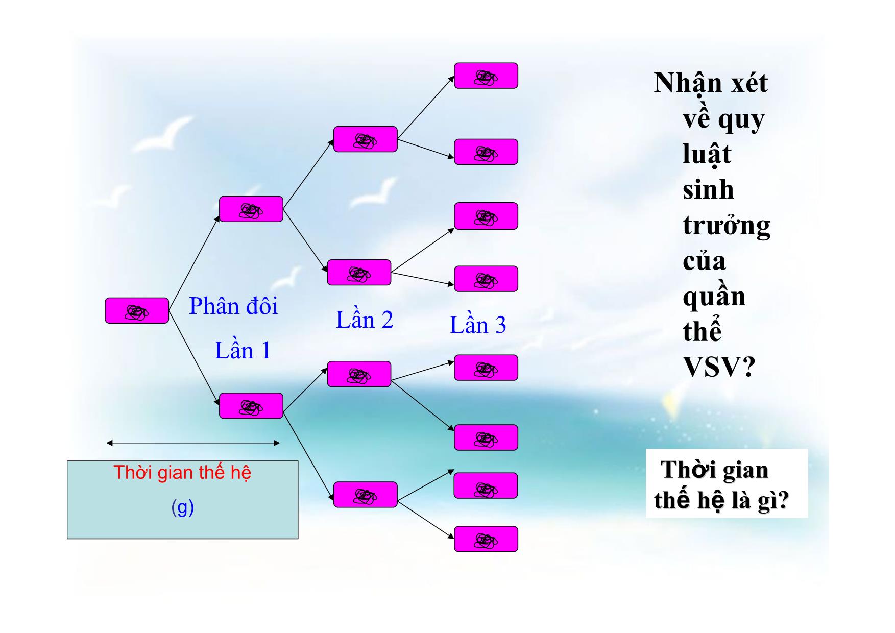 Bài giảng Sinh học Lớp 10 - Tiết 25, Bài 25: Sinh trưởng và sinh sản của vi sinh vật trang 4