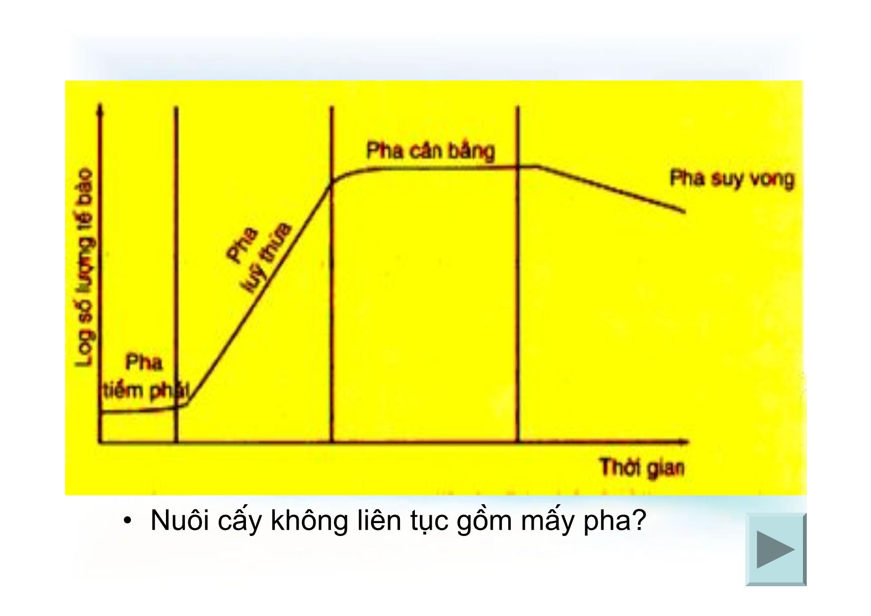 Bài giảng Sinh học Lớp 10 - Tiết 25, Bài 25: Sinh trưởng và sinh sản của vi sinh vật trang 8