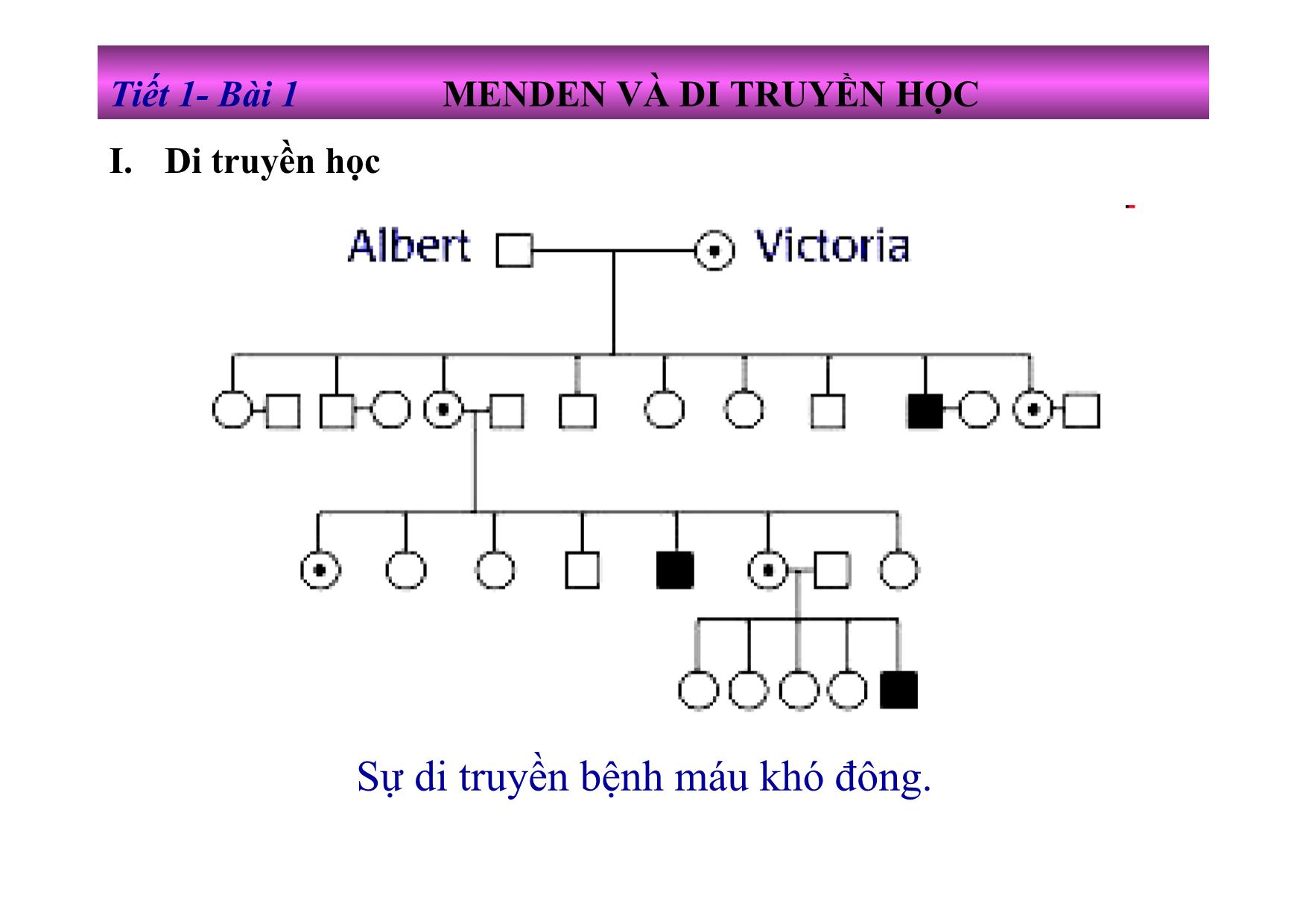 Bài giảng Sinh học Lớp 9 - Tiết 1, Bài 1: Menden và di truyền học trang 2