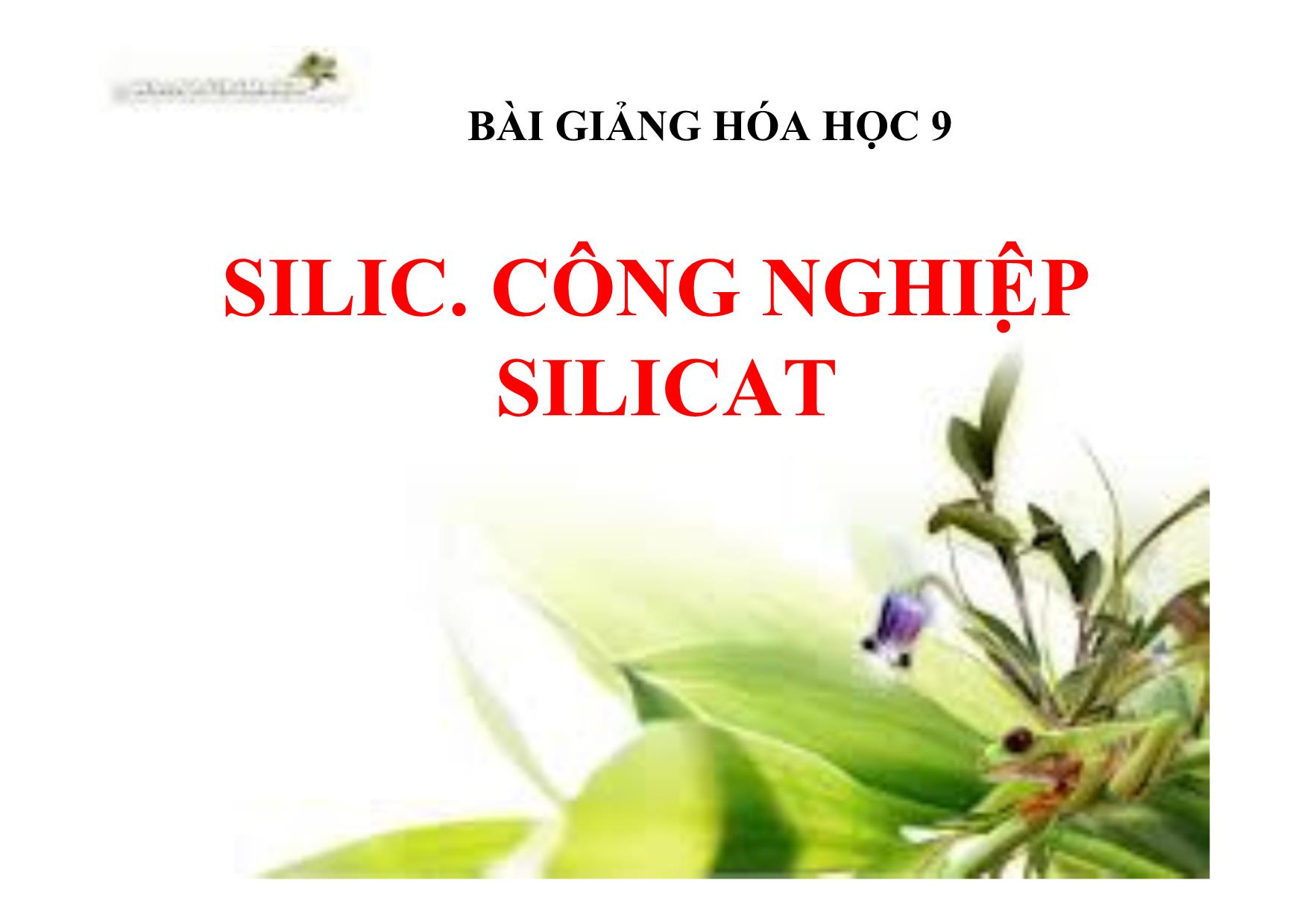 Bài giảng Hóa học Lớp 9 - Tiết 38: Silic. Công nghiệp Silicat trang 1