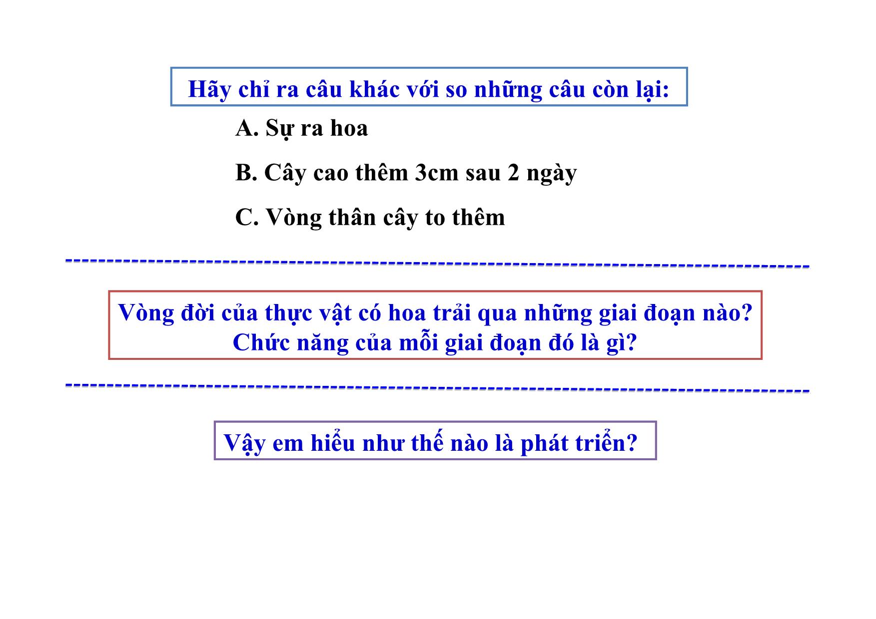 Bài giảng Sinh học Lớp 11 - Bài 36: Phát triển ở thực vật có hoa - Bùi Sỹ Kiên trang 3