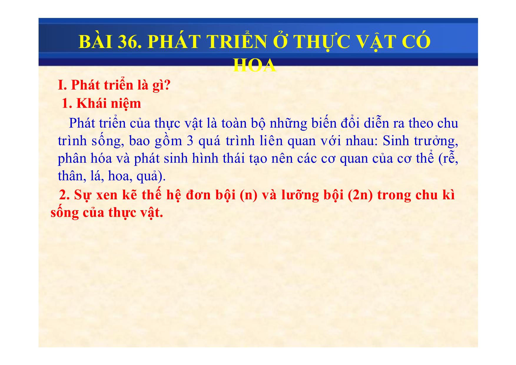 Bài giảng Sinh học Lớp 11 - Bài 36: Phát triển ở thực vật có hoa - Bùi Sỹ Kiên trang 4