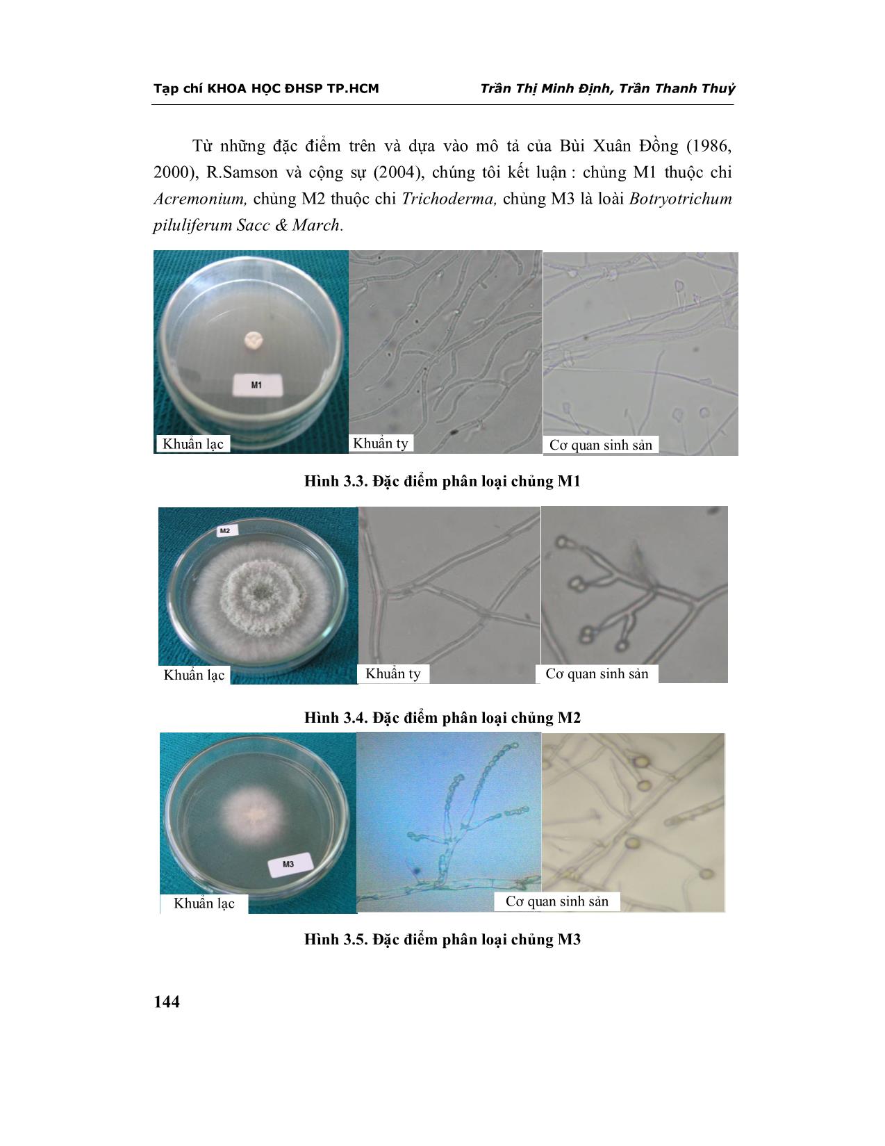 Khảo sát đặc điểm một số chủng nấm sợi có kháng sinh chống sinh vật gây hại trang 7