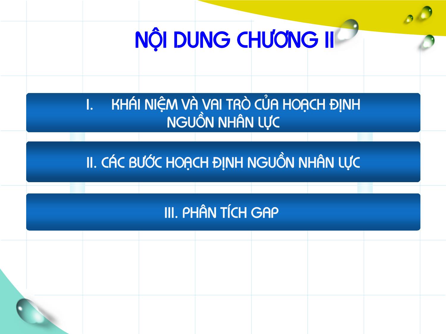 Bài giảng Quản trị nguồn nhân lực - Chương II: Hoạch định nguồn nhân lực trang 3