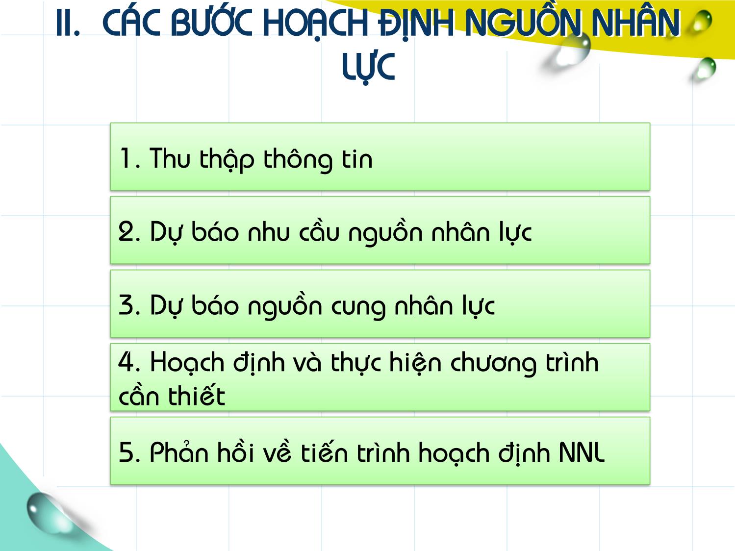 Bài giảng Quản trị nguồn nhân lực - Chương II: Hoạch định nguồn nhân lực trang 8