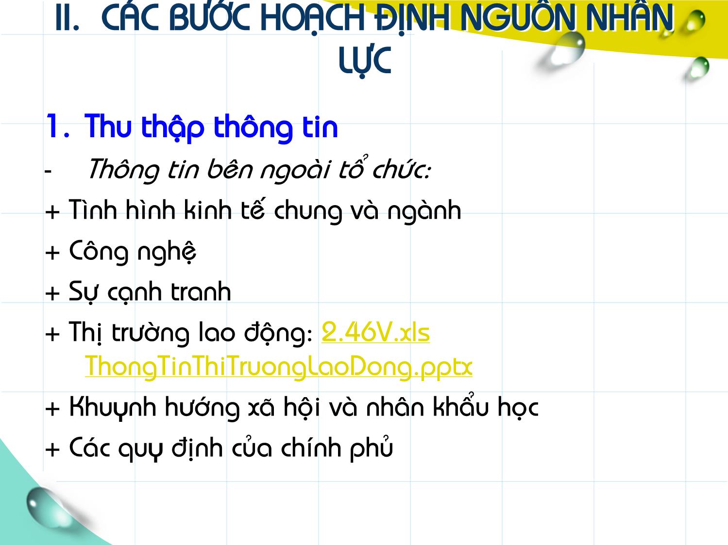 Bài giảng Quản trị nguồn nhân lực - Chương II: Hoạch định nguồn nhân lực trang 9