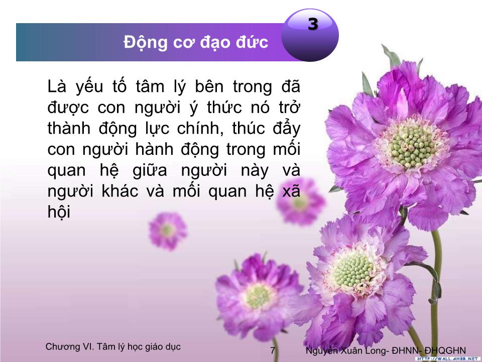 Bài giảng Tâm lý học 2 - Chương VI: Tâm lý học giáo dục trang 7