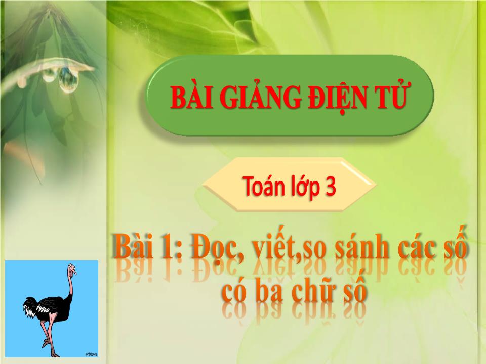 Bài giảng Toán Lớp 3 - Bài 1: Đọc, viết,so sánh các số có ba chữ số trang 1