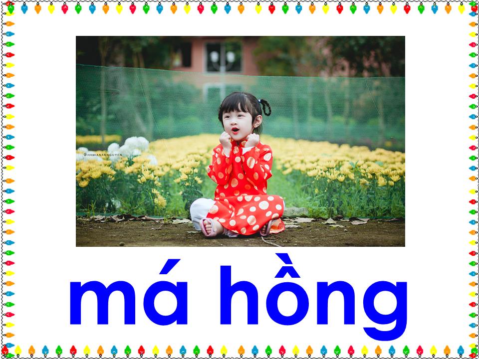 Bài giảng Mầm non Lớp Lá - Hoạt động: Làm quen chữ cái a, ă, â - Nguyễn Thị Lúy trang 10