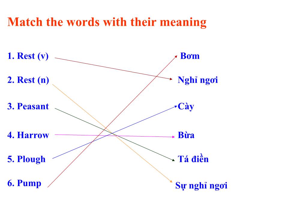 Bài giảng Tiếng Anh Lớp 10 - Unit 1: A day in a life of - Lesson A: Reading trang 9