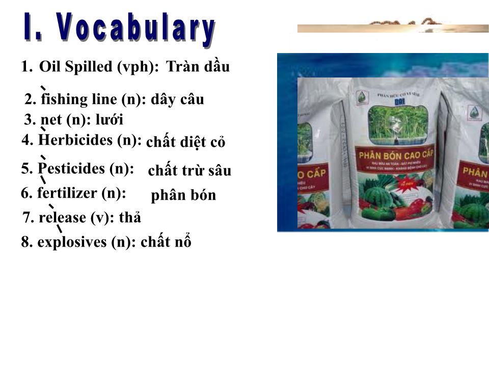 Bài giảng Tiếng Anh Lớp 10 - Unit 9: Undersea world - Lesson 2: Speaking trang 5