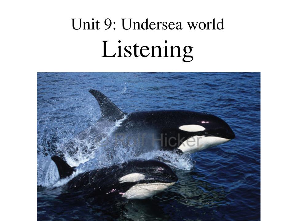 Bài giảng Tiếng Anh Lớp 10 - Unit 9: Undersea world - Lesson: Listening trang 4