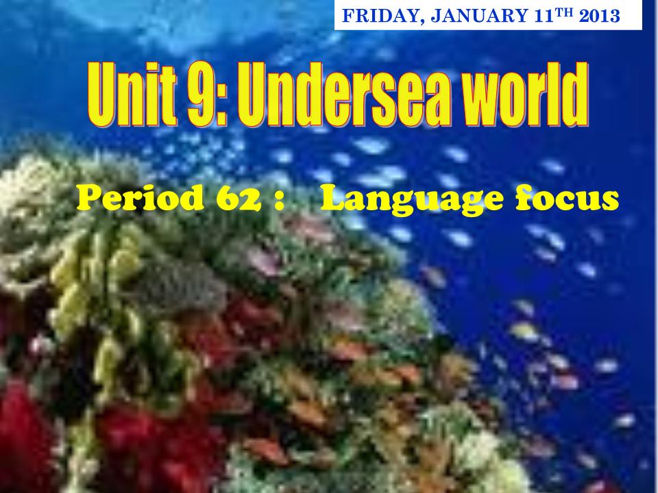 Bài giảng Tiếng Anh Lớp 10 - Unit 9: Undersea world - Period 62: Language focus - Ngo Thi Hau trang 4