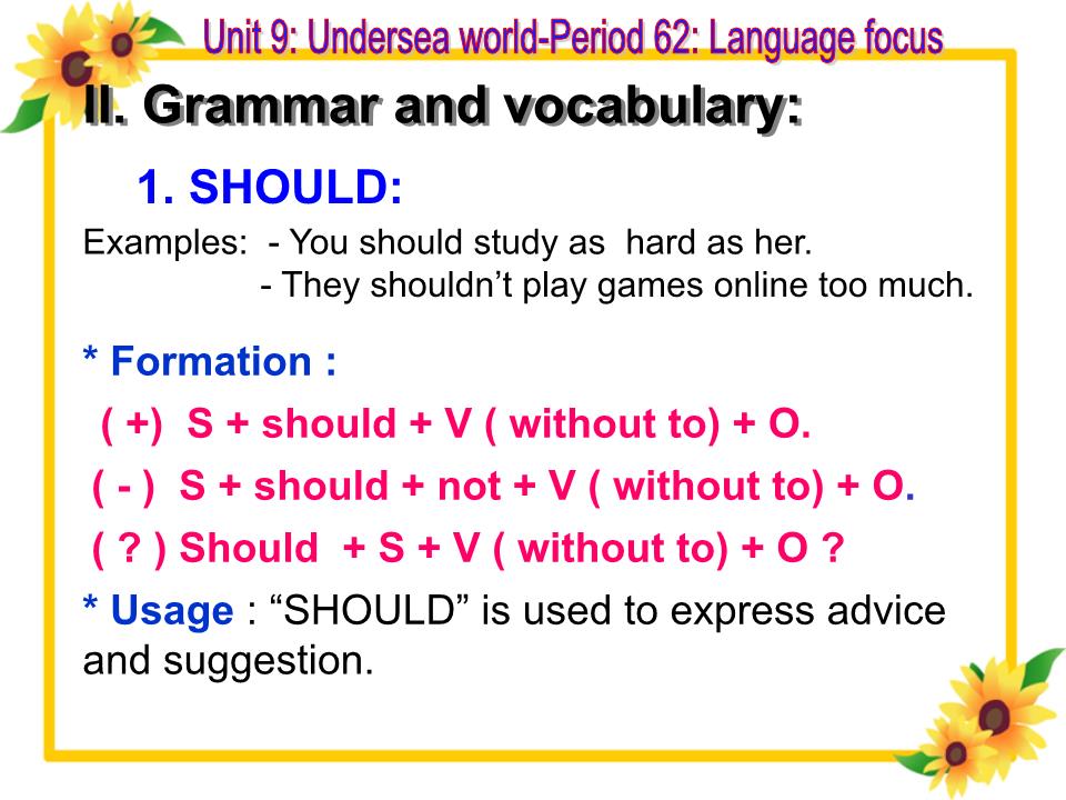 Bài giảng Tiếng Anh Lớp 10 - Unit 9: Undersea world - Period 62: Language focus - Ngo Thi Hau trang 9