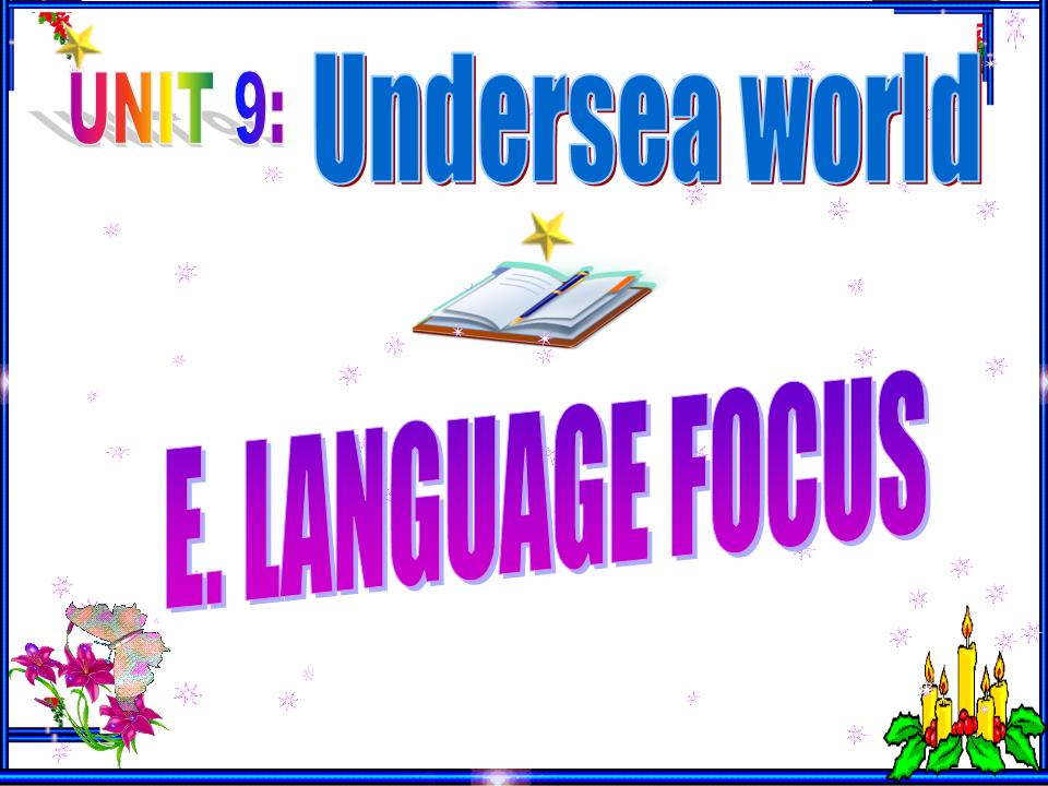 Bài giảng Tiếng Anh Lớp 10 - Unit 9: Undersea world - Lesson E: Langugage focus trang 2