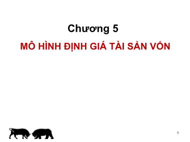 Bài giảng Đầu tư tài chính - Chương 5: Mô hình định giá tài sản vốn - Trần Thị Thái Hà