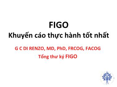 Bài giảng FIGO - Khuyến cáo thực hành tốt nhất