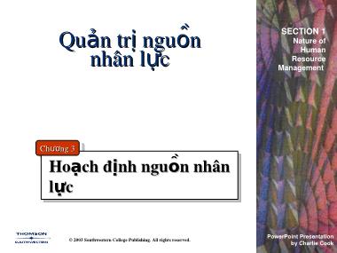 Bài giảng Quản trị nguồn nhân lực - Chương 3: Hoạch định nguồn nhân lực