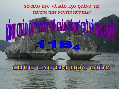 Bài giảng Hình học Lớp 11 - Chương 2: Quan hệ song song - Tiết 17: Hai đường thẳng chéo nhau và hai đường thẳng song song