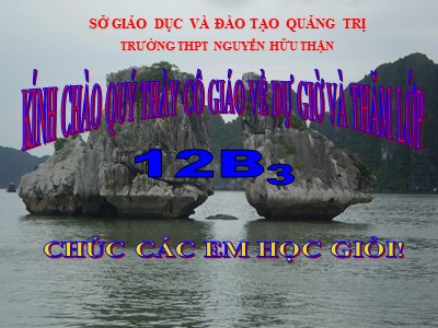 Bài giảng Hình học Lớp 12 - Ôn tập chương 1 - Nguyễn Quang Tánh