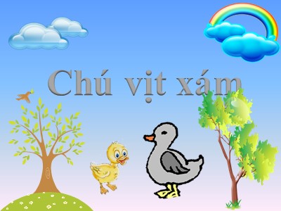 Bài giảng Phát triển tình cảm, kĩ năng xã hội - Chú vịt xám