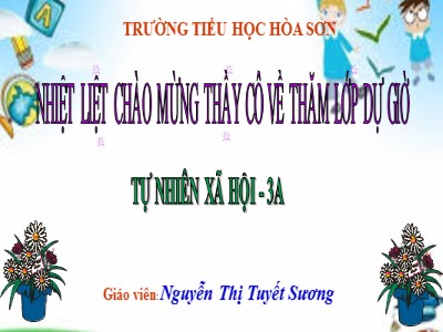 Bài giảng Tự nhiên và xã hội Lớp 3 - Họ nội, họ ngoại