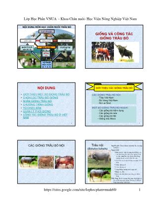 Bài giảng Chăn nuôi trâu bò - Chương 1: Giống và công tác giống trâu bò