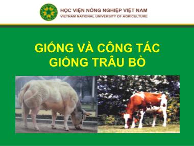 Bài giảng môn Chăn nuôi trâu bò - Chương 1: Giống và công tác giống trâu bò
