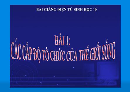 Bài giảng Sinh học Lớp 10 - Bài 1: Các cấp tổ chức của thế giới sống