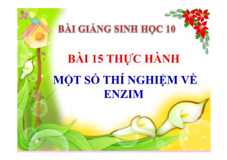 Bài giảng Sinh học Lớp 10 - Bài 15: Thực hành một số thí nghiệm về Enzim