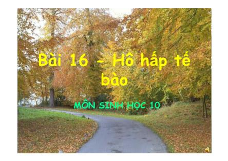 Bài giảng Sinh học Lớp 10 - Bài 16: Hô hấp tế bào