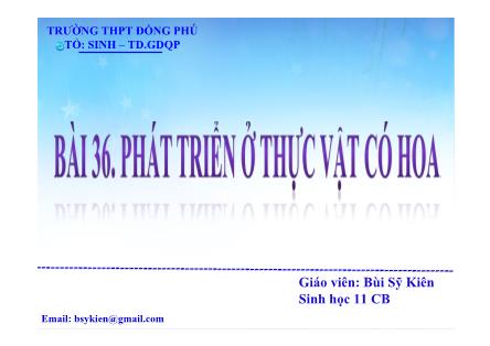 Bài giảng Sinh học Lớp 11 - Bài 36: Phát triển ở thực vật có hoa - Bùi Sỹ Kiên