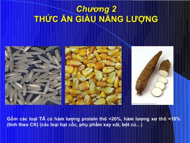 Bài giảng Thức ăn chăn nuôi - Chương 2: Thức ăn giàu năng lượng